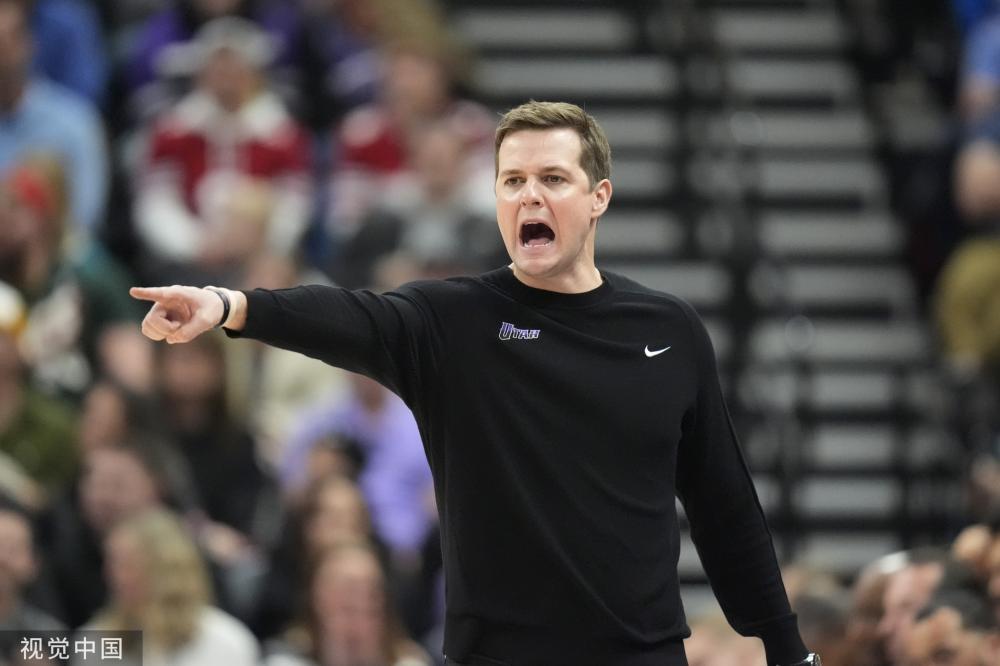 沃库森体系 沃库森体系